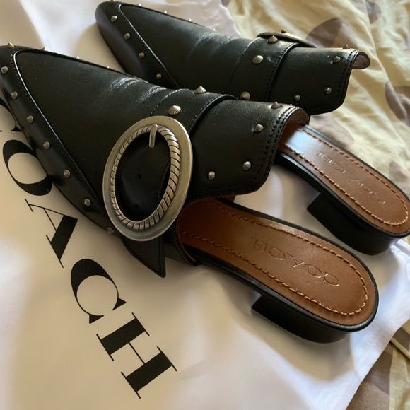 Coach slides - Picture 3 of 5